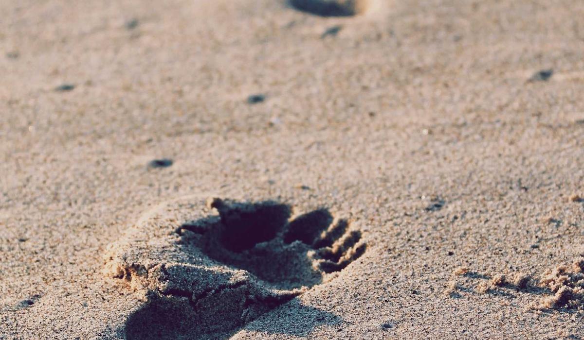 A different way to approach understanding visitor questions